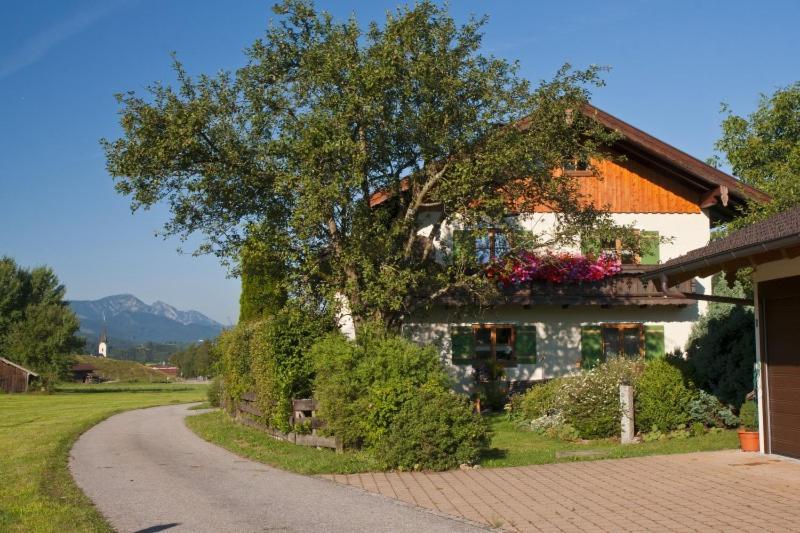 Ferienwohnung Sattler Neukirchen am Teisenberg Kültér fotó